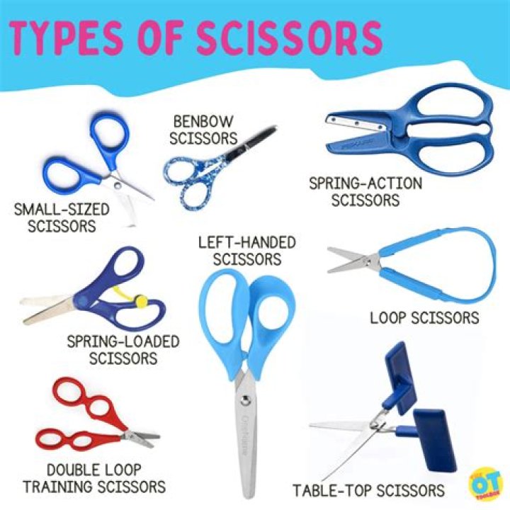 What are the types of scissors