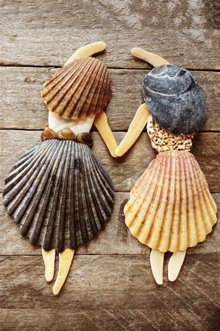 What are the uses of seashells