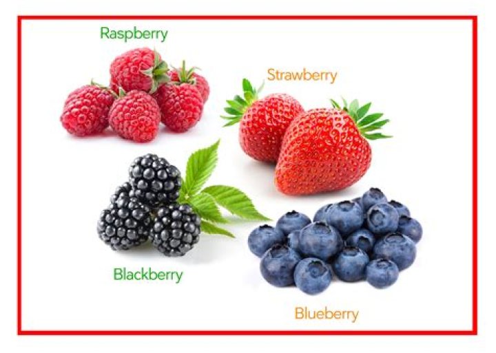 What berries grow in Louisiana