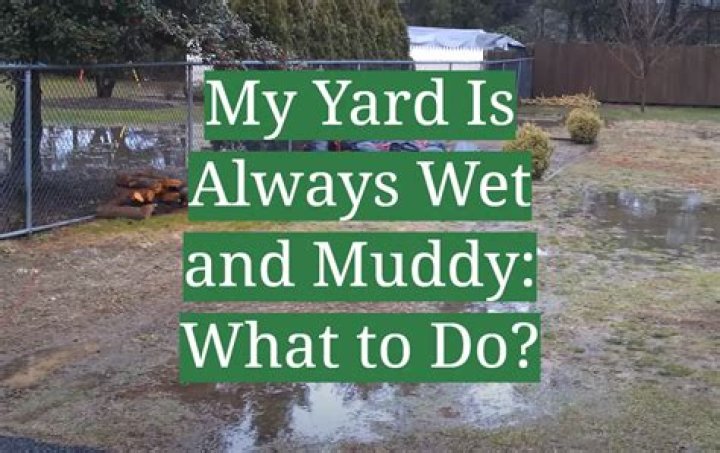 What can you do for a wet yard