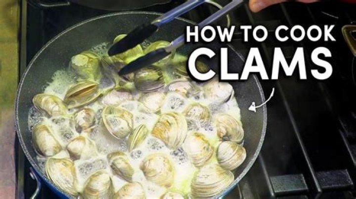 What can you do with clams shells