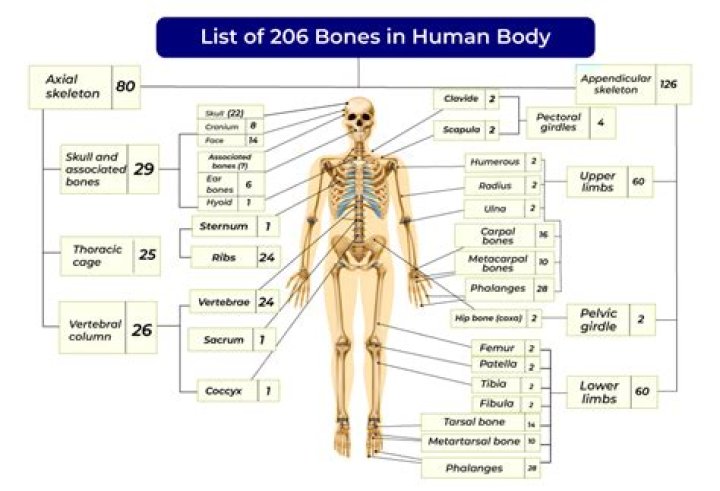 What channel is Good Bones on