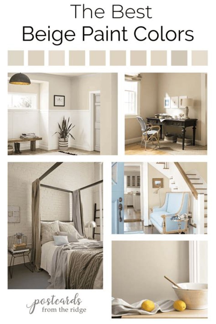 What color beige paint is best