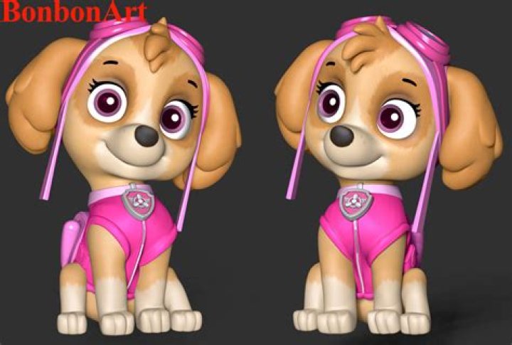 What Colour is Skye in PAW Patrol