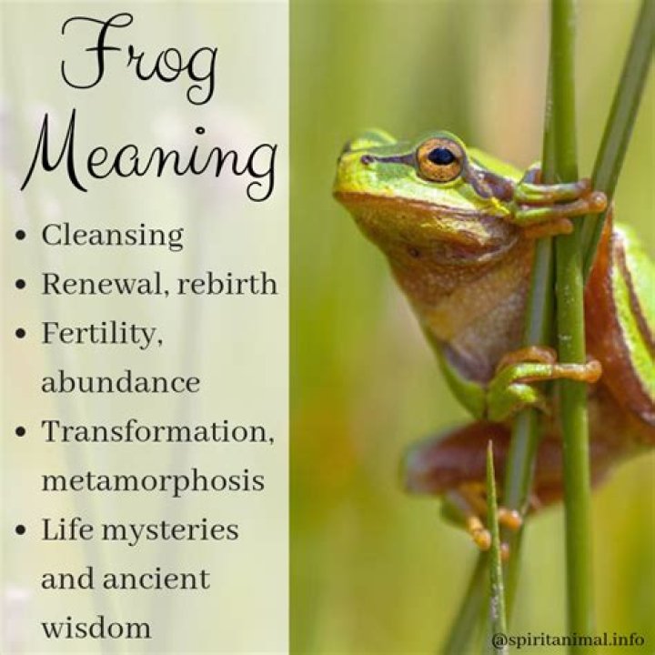 What do frogs mean spiritually