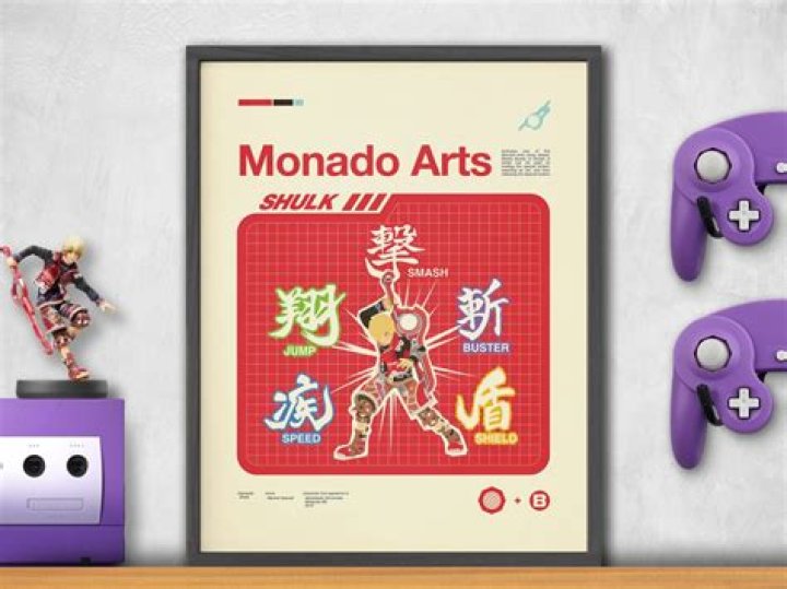 What do shulks monado arts do