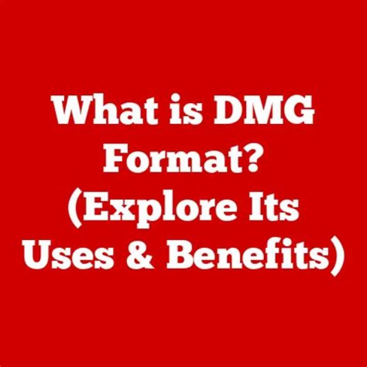 What does DMG do for the body