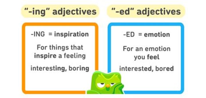 What does Ed mean in reference