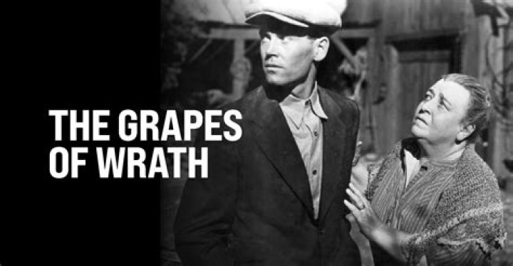 What does Grapes of Wrath mean