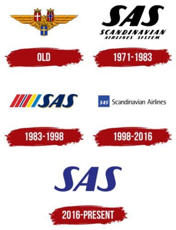 What does SAS mean in company