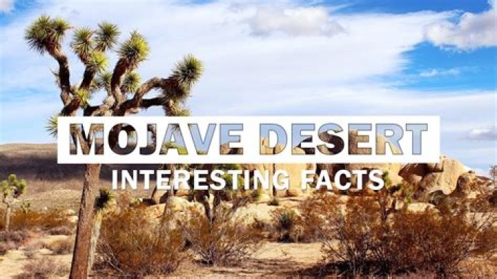 What does the word Mojave mean