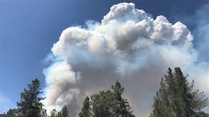 What fire burned Whiskeytown Lake