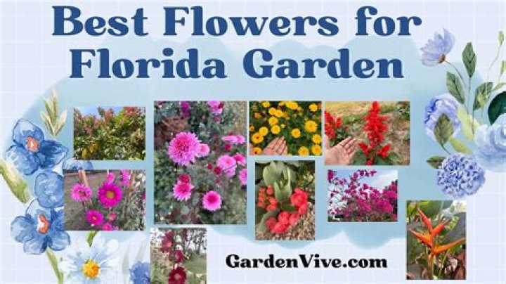 What flowers grow best Florida