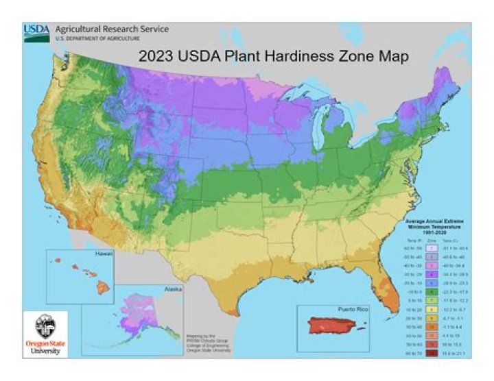 What growing zone is Tennessee