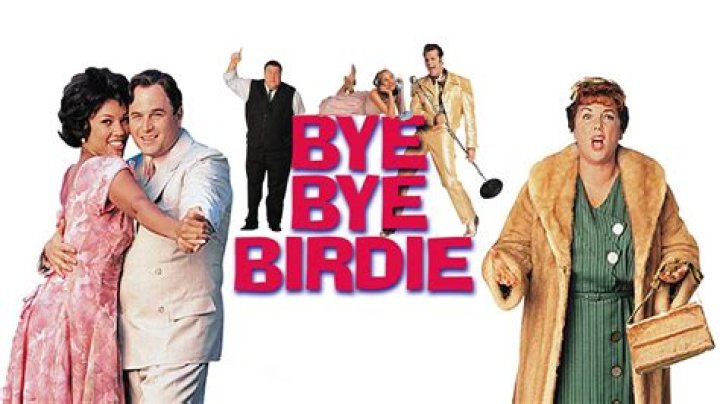 What happens in Bye Bye Birdie