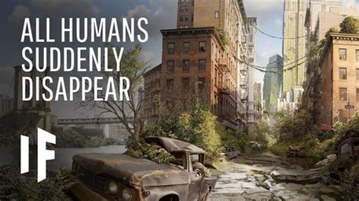What if all humans disappeared