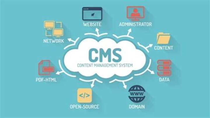 What is a cargo management system
