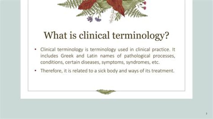 What is a clinical terminology