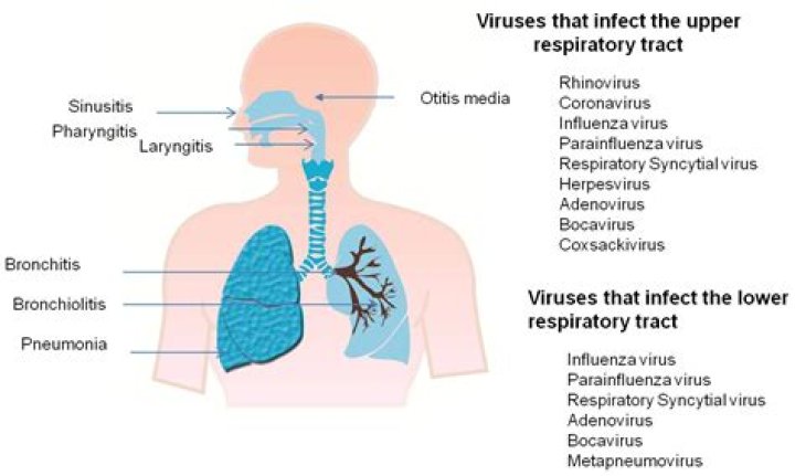 What is a common viral disease