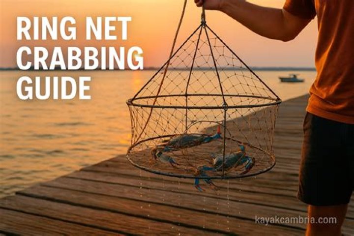 What is a dip net for crabbing