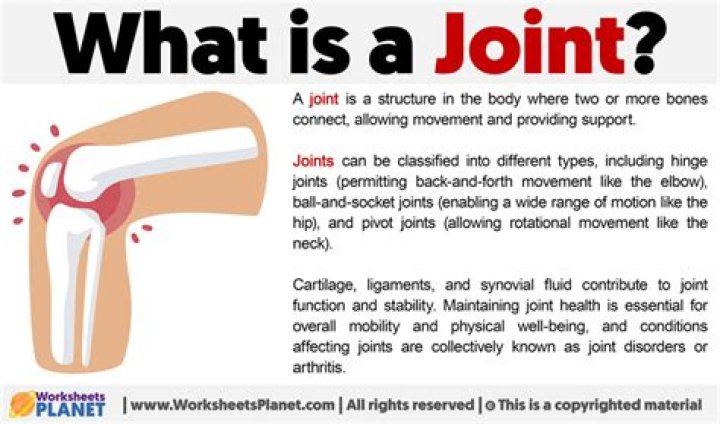 What is a joint kid definition