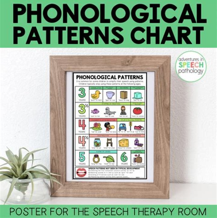 What is a phonological pattern