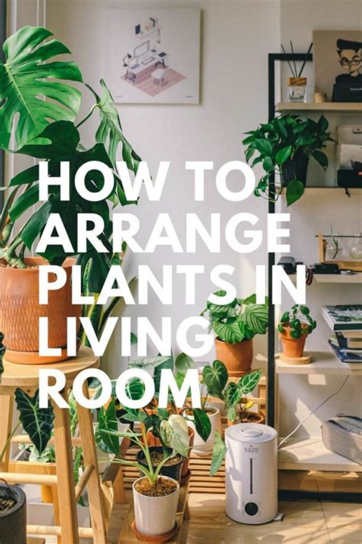 What is a plant room used for