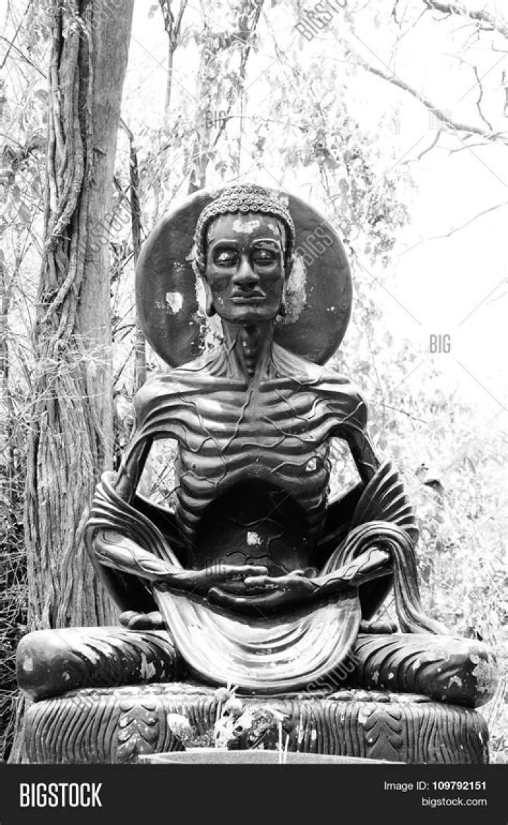 What is an ascetic in Buddhism