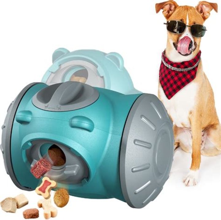 What is an interactive dog toy