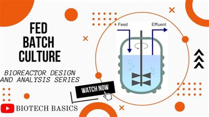 What is batch culture in bacteria
