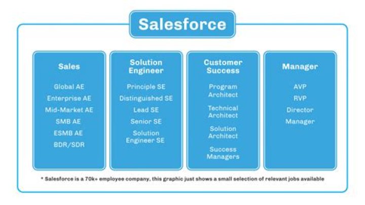 What is development in Salesforce