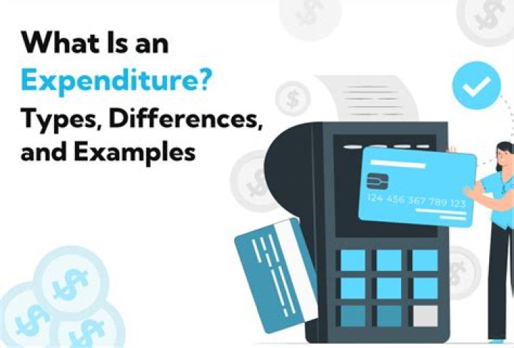 What is expenditure authority