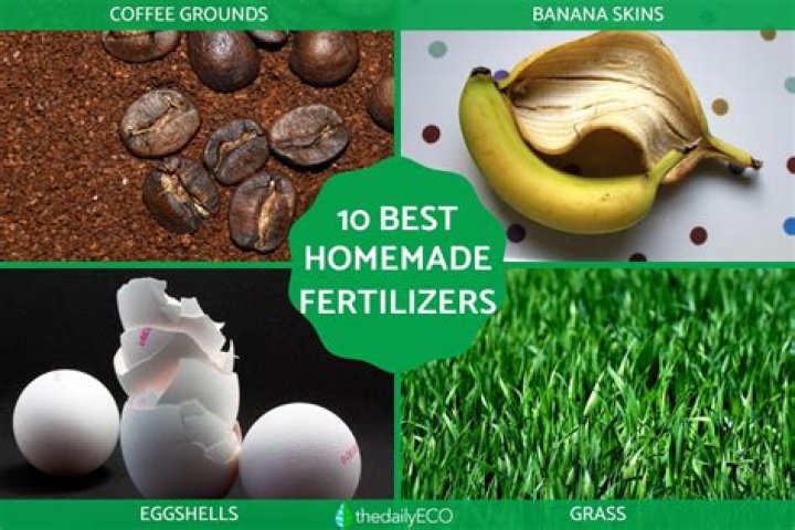 What is fertilizer made out of