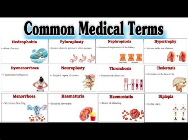 What is medical term for incision