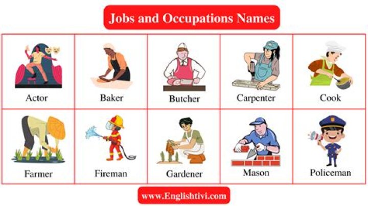 What is occupation in our society