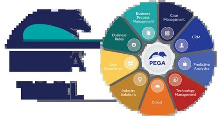 What is PEGA and how it works
