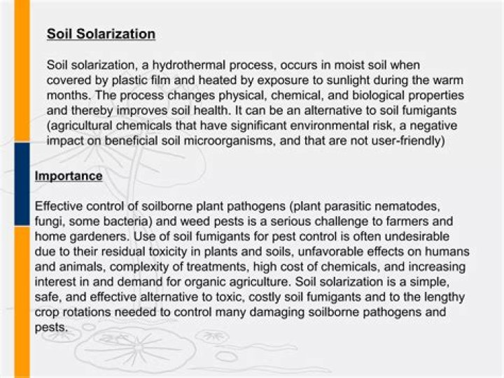What is soil solarization process