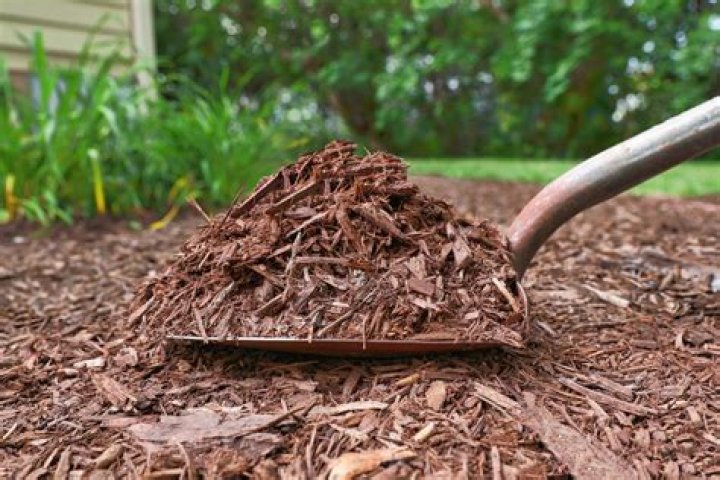 What is the best quality mulch