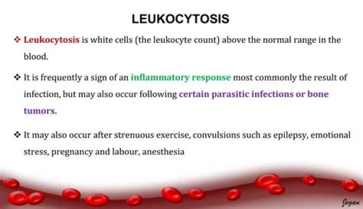 What is the cause of leukocytosis