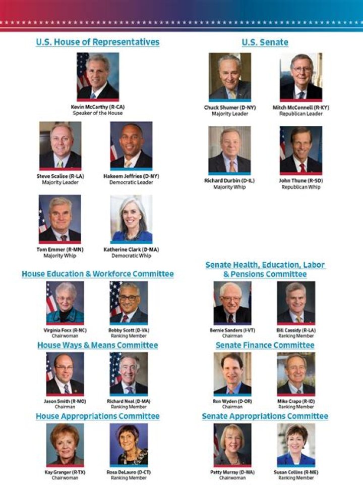 What is the name for the permanent committees in Congress