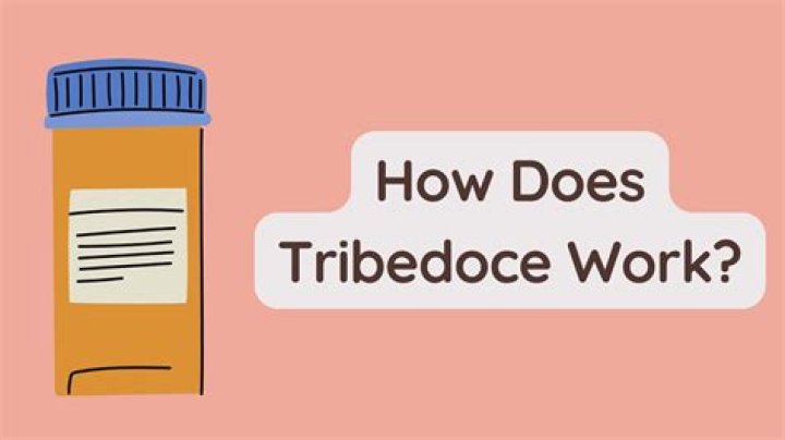 What is Tribedoce – Google Search