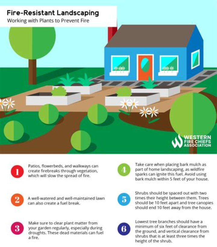What makes a plant fire-resistant