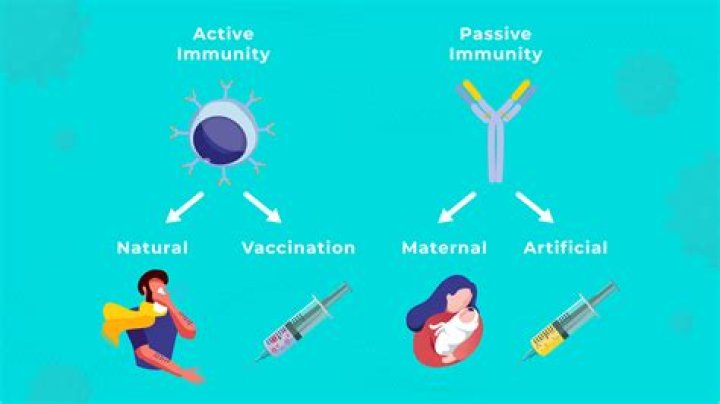 What type of immunity is vaccines