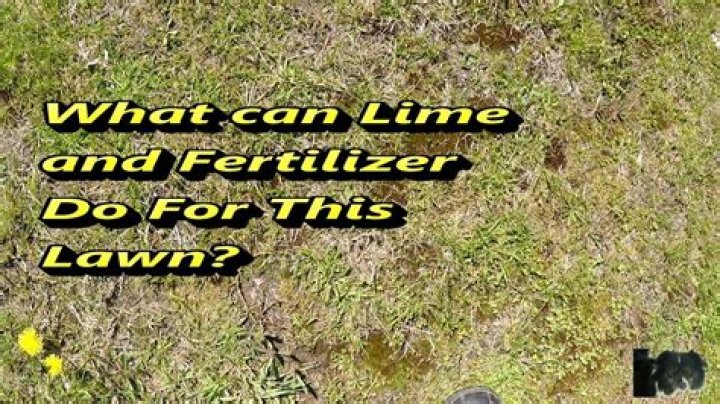 When should I add food to my lawn