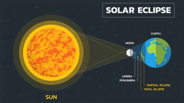 Where are Eclipse plugins located