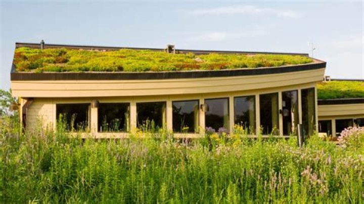 Where are green roofs most common
