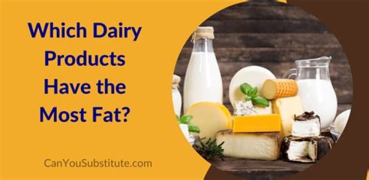 Which are full-fat dairy products