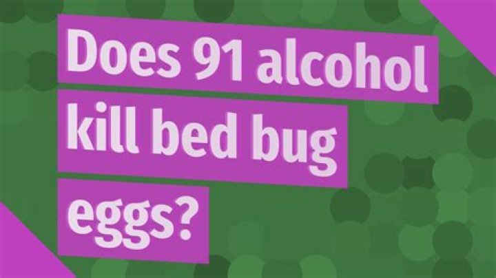 Will 91 alcohol kill bed bug eggs