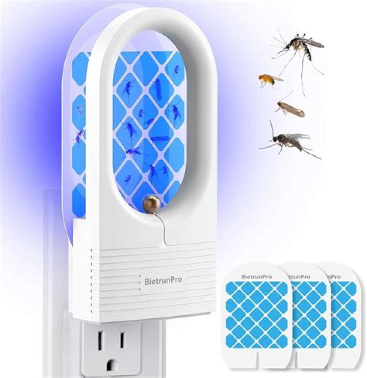 Will a bug light kill fruit flies