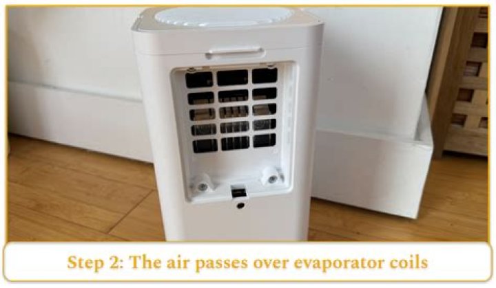 Will a dehumidifier work in a car
